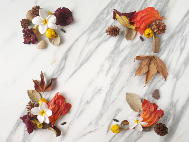 istock Autumn frame background isolated on a white marble with space for text 1340060338