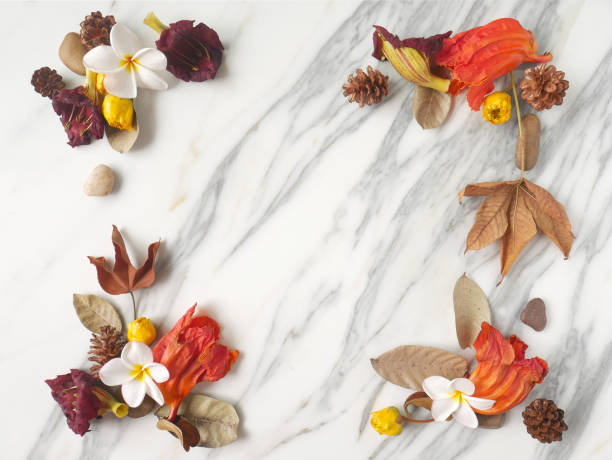 istock Autumn frame background isolated on a white marble with space for text 1340060357