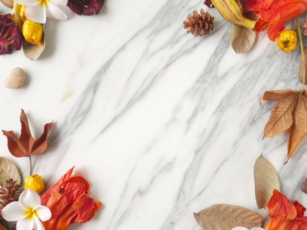istock Autumn frame background isolated on a white marble with space for text 1340060383