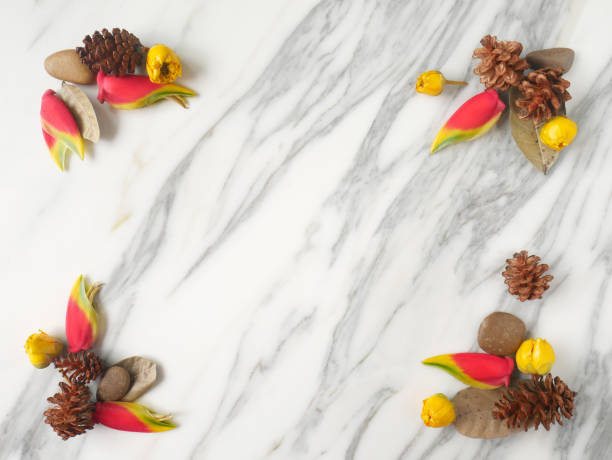 istock Autumn frame background isolated on a white marble with space for text 1340060995