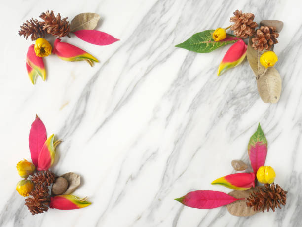 istock Autumn frame background isolated on a white marble with space for text 1340061005