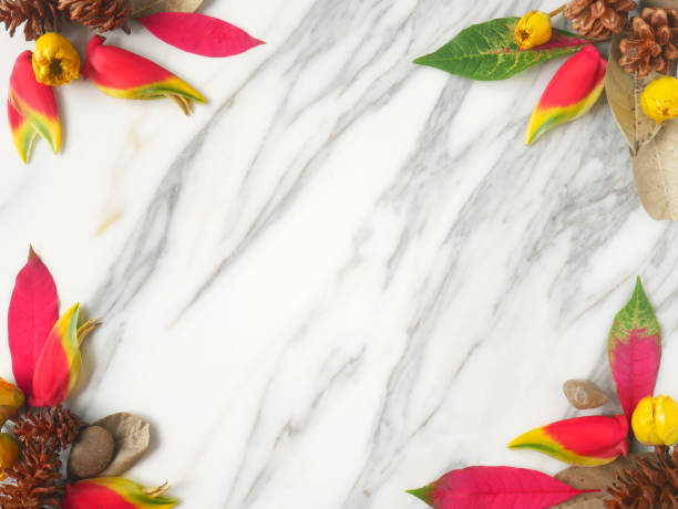 istock Autumn frame background isolated on a white marble with space for text 1340061014