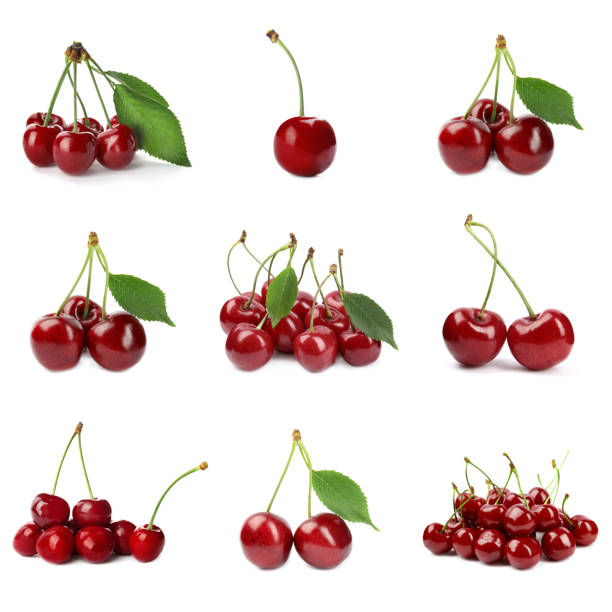 Collection of light red different sweet cherries with green leaf, side view isolated on white. Extrem close-up. High resolution photo. Full depth of field.