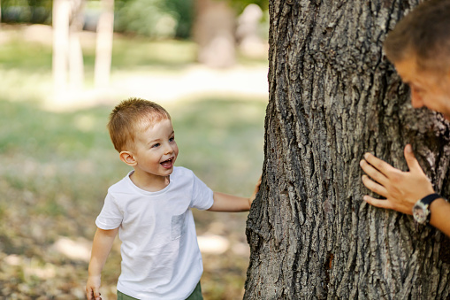 Playing hide and seek in the park. Father and child are playing in the park behind a tree. An excited boy watches his dad hiding behind a tree while they play on a sunny summer day. Family vacation