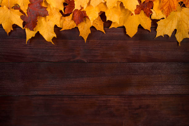 istock Frame from yellow autumn leaves on a brown wooden background. Fallen foliage. Backdrop for design. 1340061821