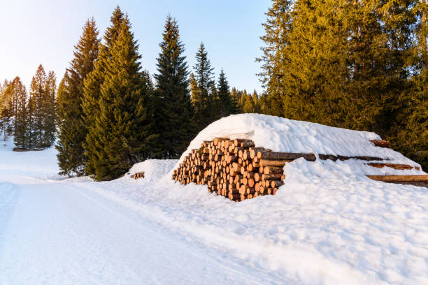 istock Stack of  sawn logs along a snow covered track in a winter forested mountain landscape 1340063839