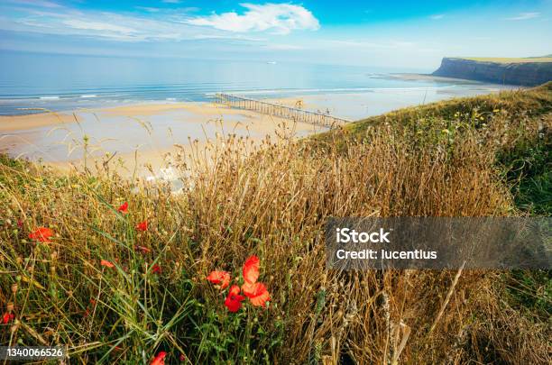 Saltburn By The Sea Coastline England Stock Photo - Download Image Now - UK, Wildflower, Beach