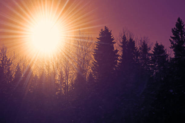 Beautiful natural landscape on a frosty evening.