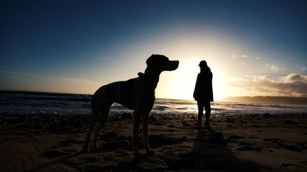 istock Dog and owner at susnset 1340069499