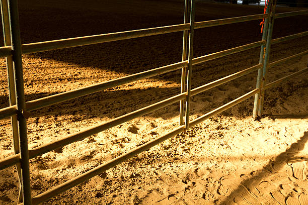 istock Morning Horse Track Fence 134007090