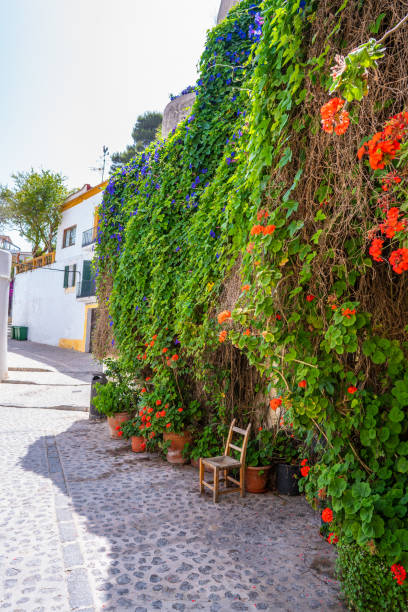 istock Ibiza Eivissa downtown Dalt Vila facades 1340072042