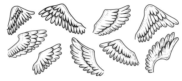 Wings Doodles Set Wings doodle set. Vector illustration. Cartoon angel wings. wings tattoos stock illustrations