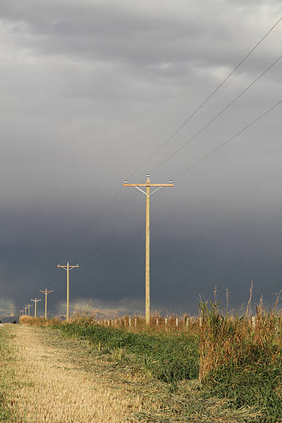 istock Telephone Poles Line a Rural Road 134007585