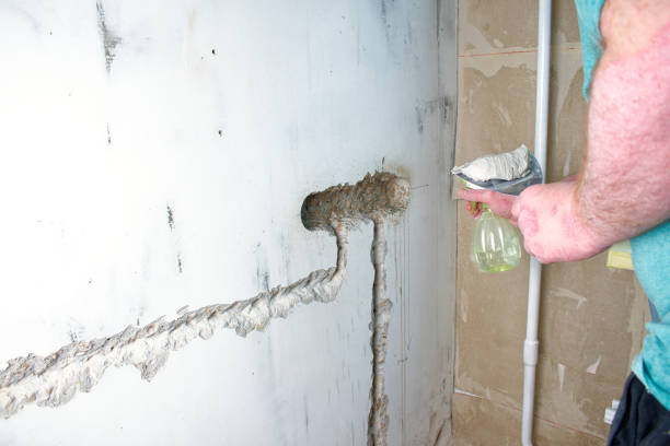 istock Installing the plastic socket box into the wall. Wiring repair and replacement concept. 1340077804