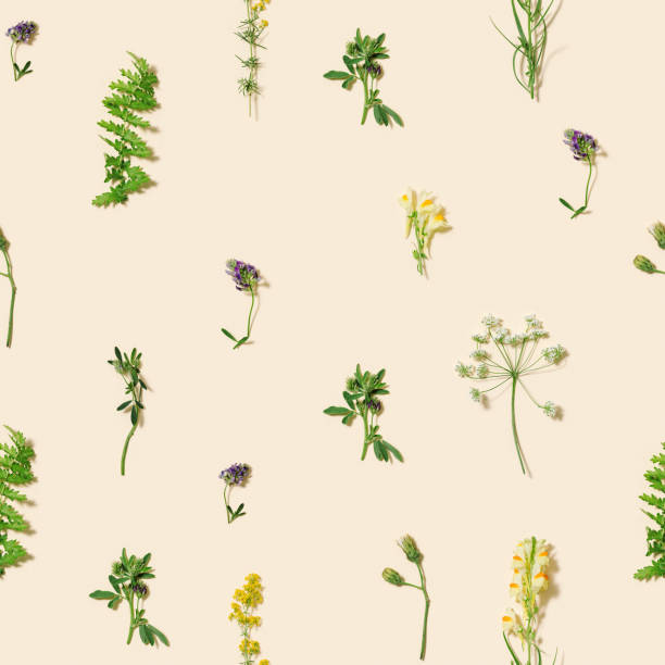 istock Natural summer seamless composition from wild flowers and grass on pastel beige background. 1340077978