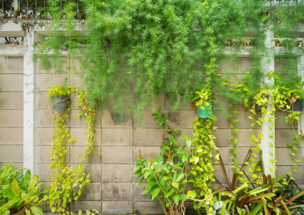 istock Vertical garden lush green grass wall pattern surface texture. Close-up of exterior natural material for design. Bushes trees plants growing through the metal fence. 1340079449