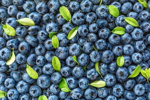 Closeup blueberries texture,Macro closeup,Blueberries background