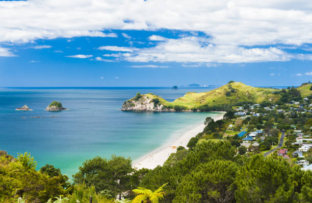 playa hahei en la península de coromandel en nueva zelanda - new zealand cathedral cove sea sand fotografías e imágenes de stock