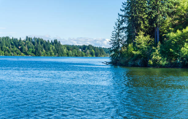 istock Woodard Bay inlet 3 1340080784