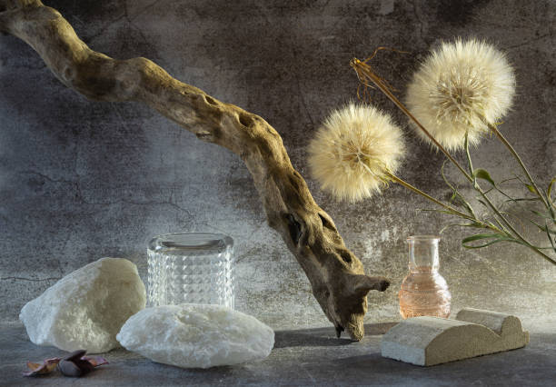 Podiums made of natural salt stone, a concrete mold and a glass cup, next to a decorative tree-a snag and dried flowers with a vase. Concept mockup display.