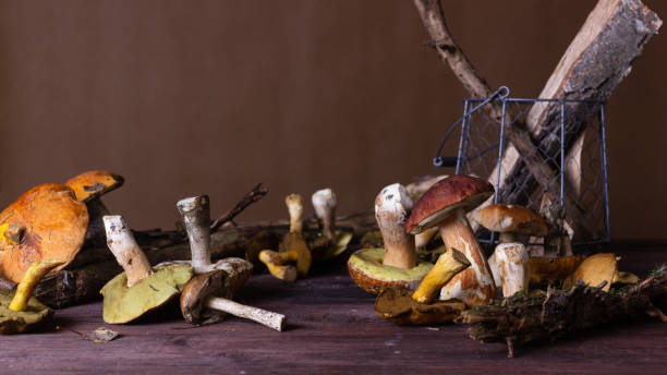 istock Autumn Still Life with Forest Mushrooms 1340081072