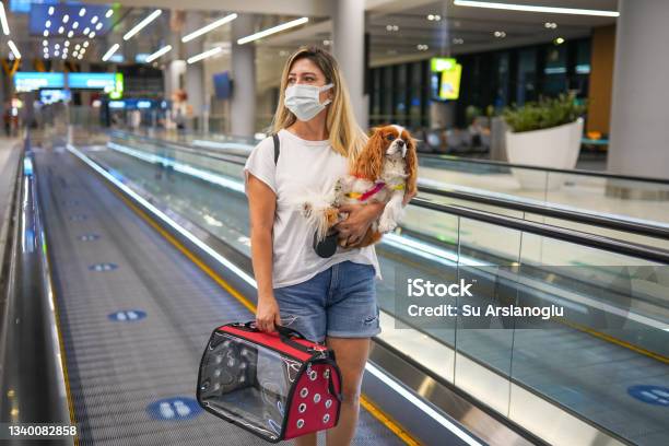 Young Woman In A Protective Mask At The Airport With Her Dog And Her Carryon Bag Heading Towards Their Flight Stock Photo - Download Image Now