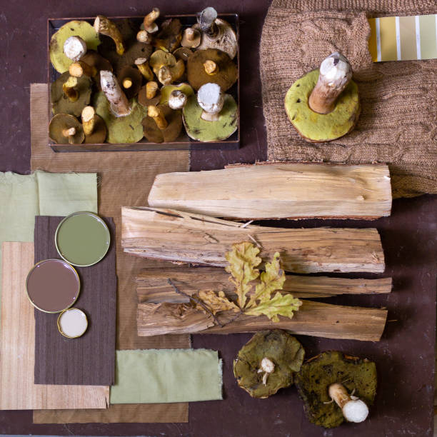 istock Autumn Still Life with Forest Mushrooms 1340083799