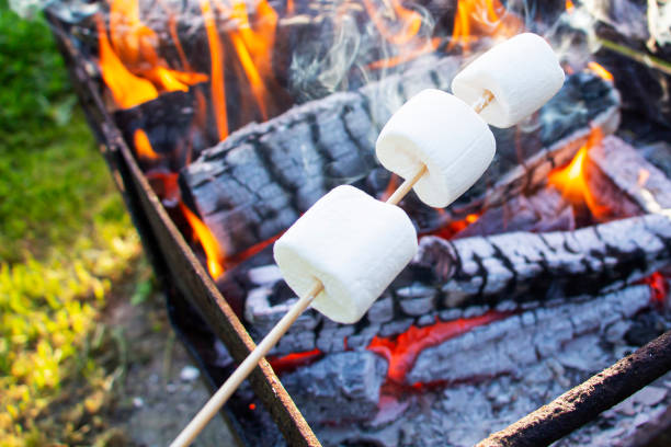 istock marshmallow on a stick being roasted over a camping fire. 1340084305