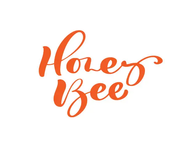 Vector illustration of Honey Bee calligraphy vector lettering text. Bee hand lettering word in orange color isolated on white background. Concept for logo card, typography poster, print