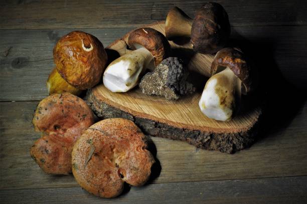 istock Flavors of Autumn 1340089199