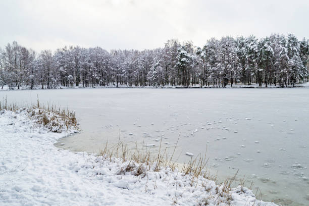 A cold morning with the first snow layer of the season