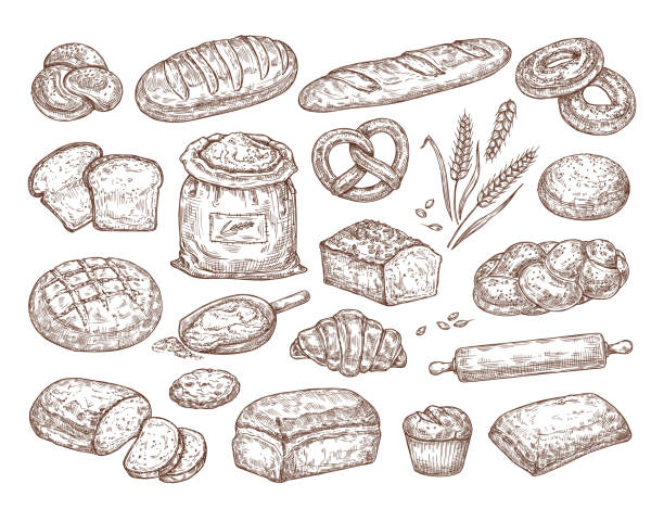 illustrations, cliparts, dessins animés et icônes de ensemble de croquis avec des pâtisseries, du pain, de la farine et des épillets. illustration vectorielle - bagel bread isolated baked