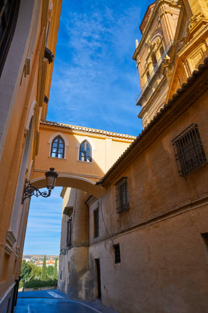 istock Guadix Cathedral arch in Granada Spain 1340095234