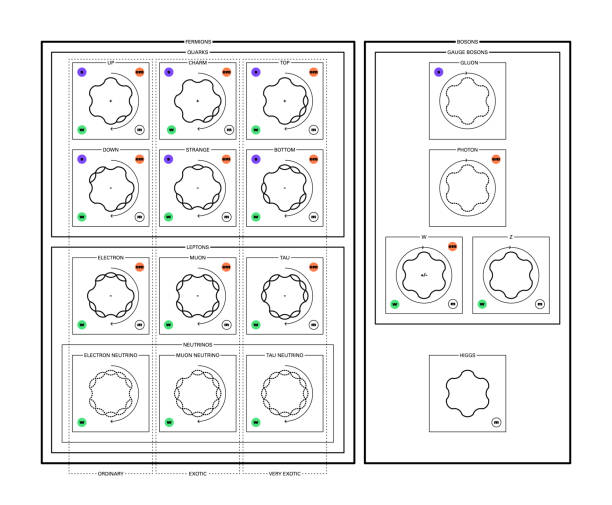 ilustraciones, imágenes clip art, dibujos animados e iconos de stock de partículas fundamentales del modelo estándar - neutrino