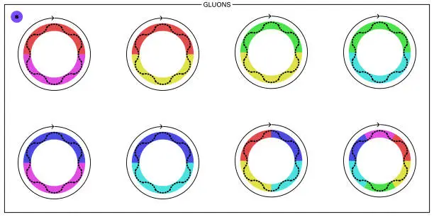 Vector illustration of Gluons