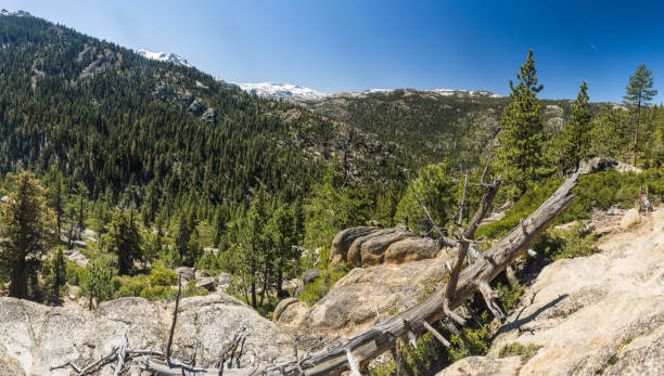 Stanislaus National forest and Sierra Nevada mountains in the USA Panoramic view of Stanislaus National forest and Sierra Nevada mountains on the route 80 from California to Nevada, USA stanislaus national forest stock pictures, royalty-free photos & images
