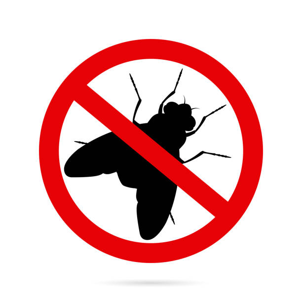 Fly silhouette and sign prohibited on a white background. Stop fly sticker, insect pests Fly silhouette and sign prohibited on a white background. Stop fly sticker, insect pests. Flat style design. Vector, illustration pest control logos silhouette stock illustrations