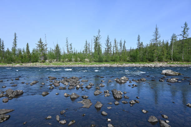 istock Nakta River on the Putorana plateau. 1340098809