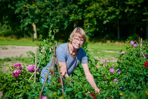 istock Mature woman gardening 1340099850
