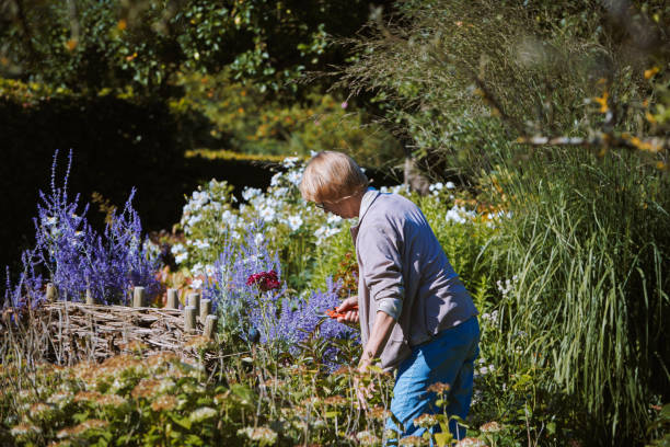 istock Mature woman gardening 1340099891