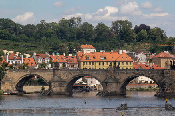 istock Old Charles Bridge in Prague 1340101369