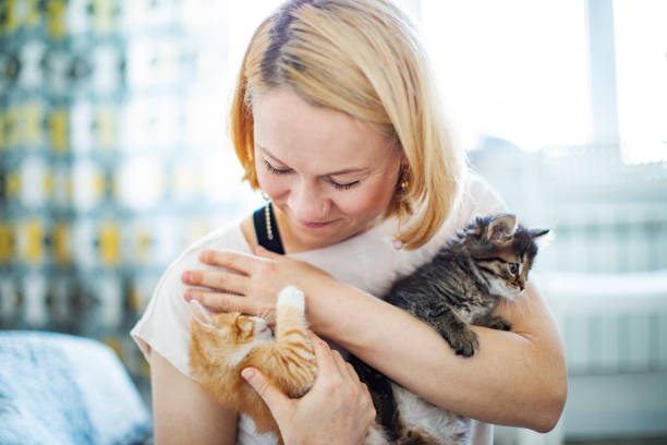 istock Young woman playing with her kittens at home 1340102984