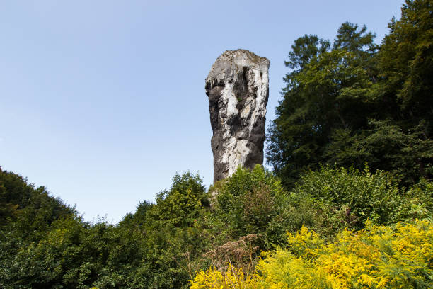 istock Hercules Mace Stone - polish Jurassic 1340103042