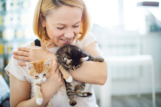istock Young woman playing with her kittens at home 1340103061
