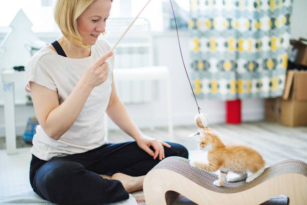 istock Young woman playing with her kittens at home 1340103165