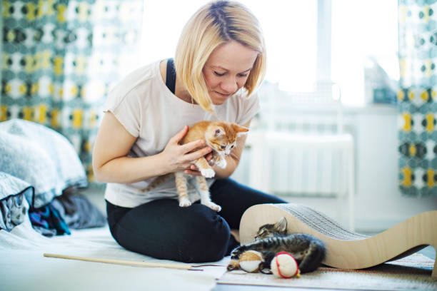 istock Young woman playing with her kittens at home 1340103196