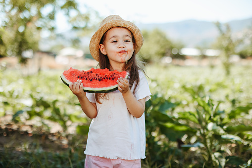 Happy child girl eats watermelon in the summer