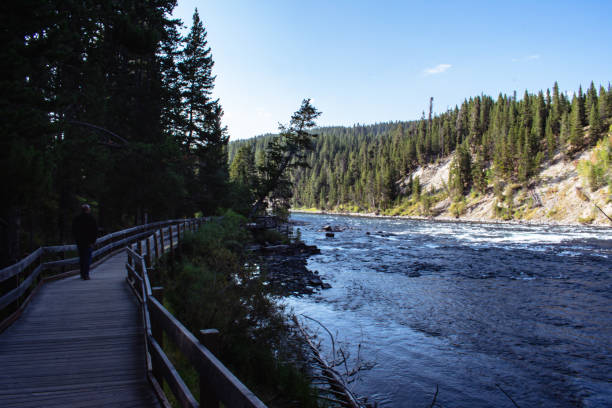 istock Yellowstone National Park 1340110891