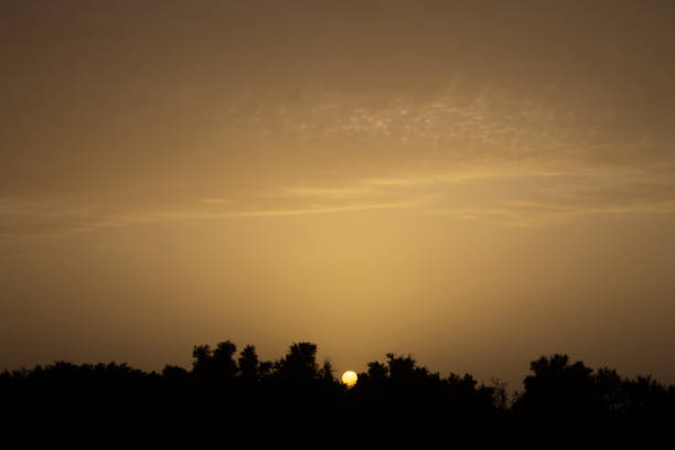 Image of the sun framed between the trees of a forest during the sunset in Africa.The image shows a colorful sky with clouds and silhouette of the forest trees. hora dorada, una hora antes de que se ponga el sol. atardecer y el bosque. puesta de sol en el bosque. sol enmarcado entre árboles. Árboles y puesta de sol. cielo al anochecer.forest durante el anochecer. horas oscuras. paisaje.naturaleza