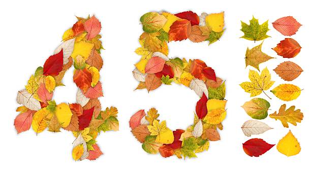 istock Numbers 4 and 5 made of autumn leaves 134011164